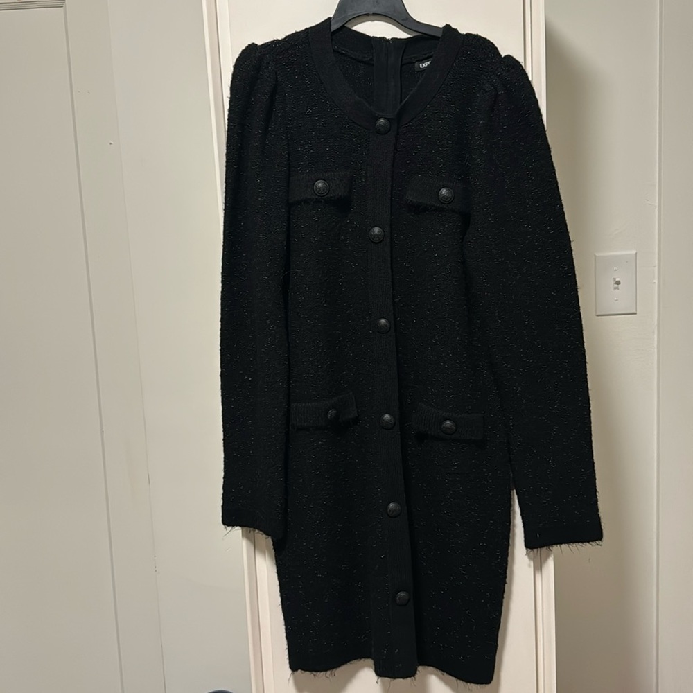 Express Sweater Dress (looks like self-portrait)